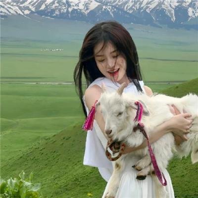 无敌浩克的审判